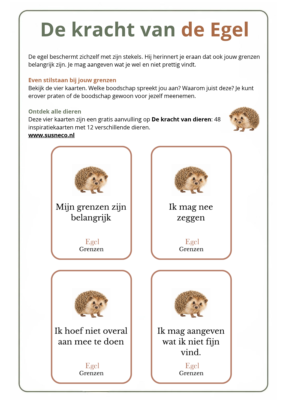 INSPIRATIEKAARTEN-De-kracht-van-de-egel
