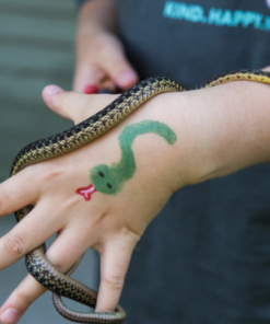 Namaki - veilige bio schminkpotloden. Prachtige slang gemaakt met schminkpotlood