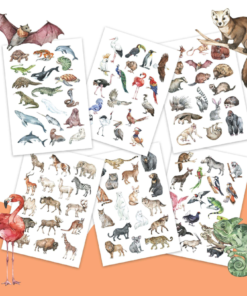 Kinderplaktattoos - Animals of the World